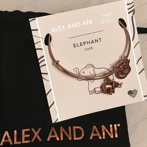 Alex + Ani Elephant charm bracelet